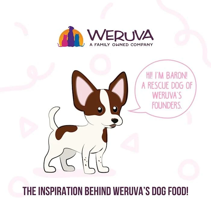 Weruva Meals 'n More Natural Wet Dog Food, Bed & Breakfast Plus Digestive Support (Pack of 12) - Image 8