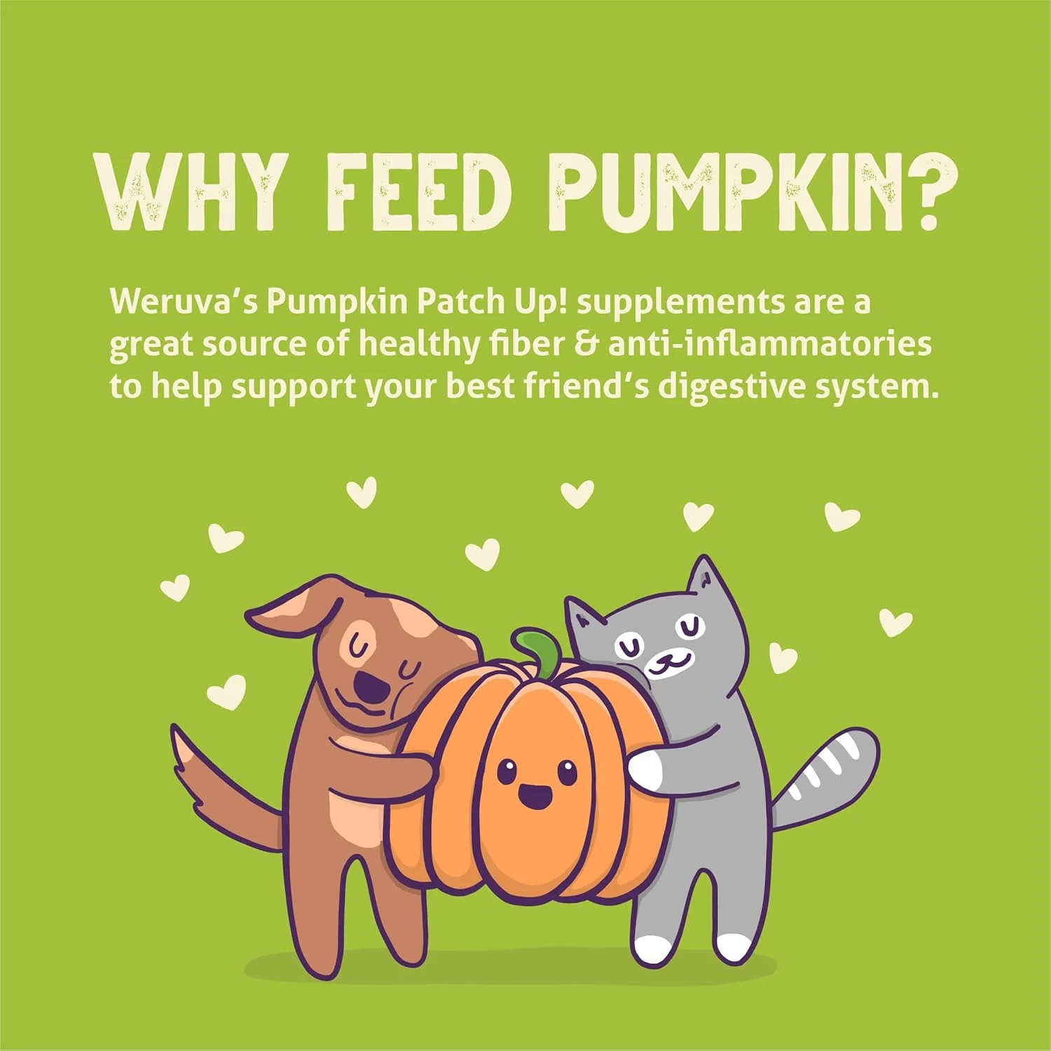 Weruva Pumpkin Patch Up! Pumpkin with Ginger & Turmeric for Dogs & Cats (Pack of 12) - Image 8