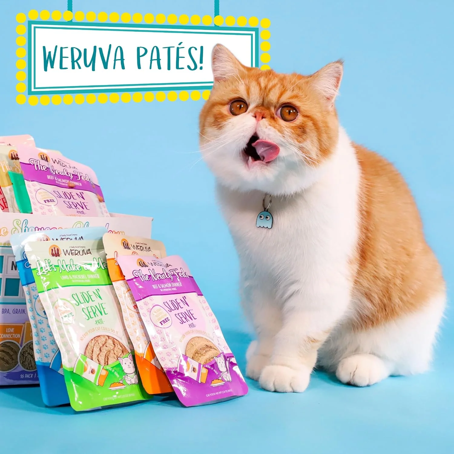 Weruva Slide N' Serve Paté Wet Cat Food, Jeopurrdy Licious Chicken Dinner (Pack of 12) - Image 9