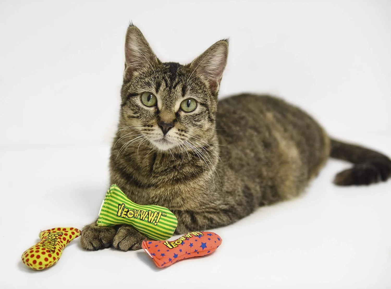 Yeowww Stinkies Catnip Toy - Image 2
