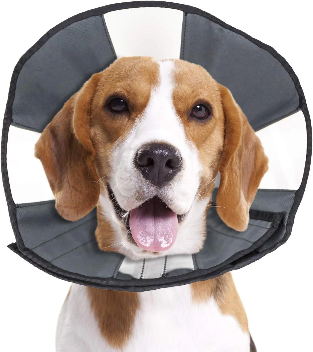ZenPet Pet Recovery Cone E-Collar for Dogs and Cats - Image 2