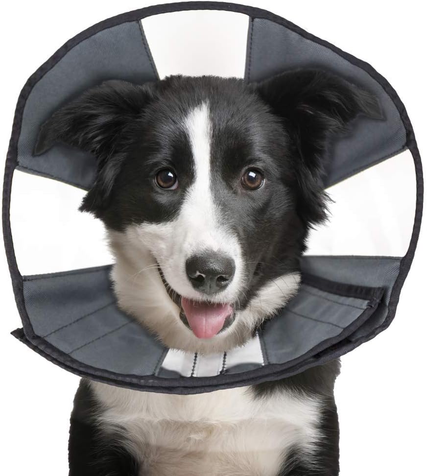 ZenPet Pet Recovery Cone E-Collar for Dogs and Cats - Always Use with Your Pet's Everyday Collar - Comfortable Soft Collar is Adjustable for a Secure and Custom Fit (Large) - Image 3