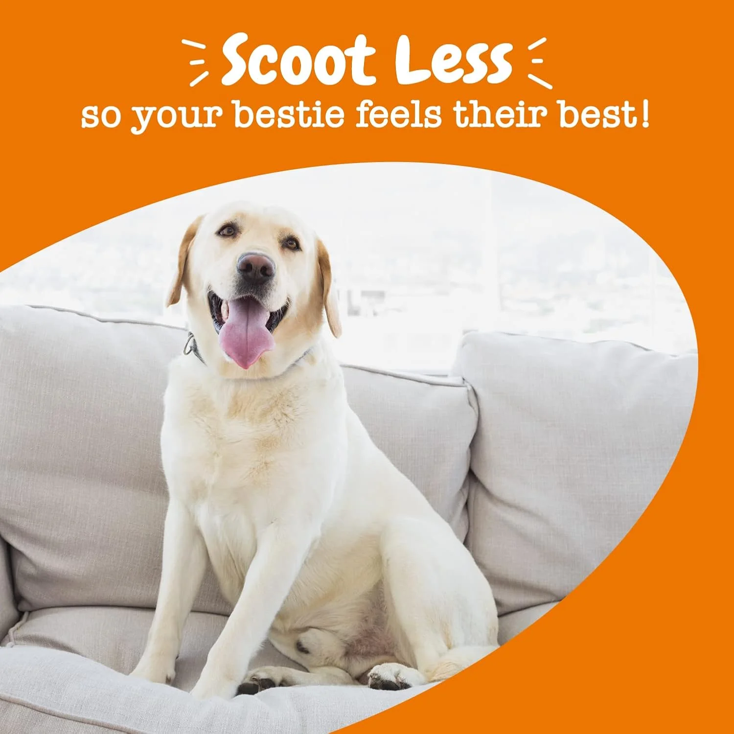 Zesty Paws Scoot Away Soft Chews - Healthy Bowel Function with Bromelain, Vita Fiber for Dogs, & Dandelion Root for Dog Digestive Support and Gut Health - 90 Soft Chews - Image 8