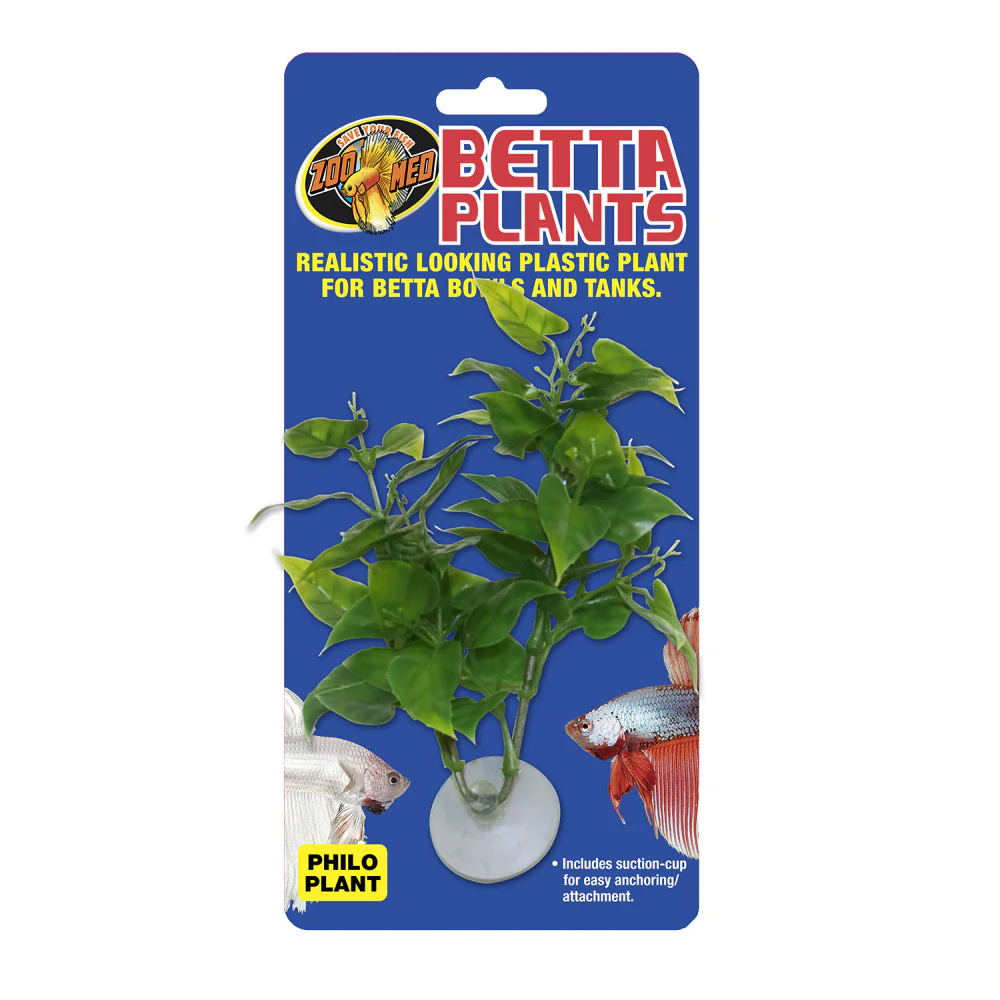 Zoo Med Betta Plant Philo Plants