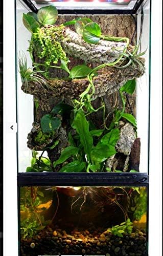 Zoo Med Paludarium Habitat Kit - Image 5