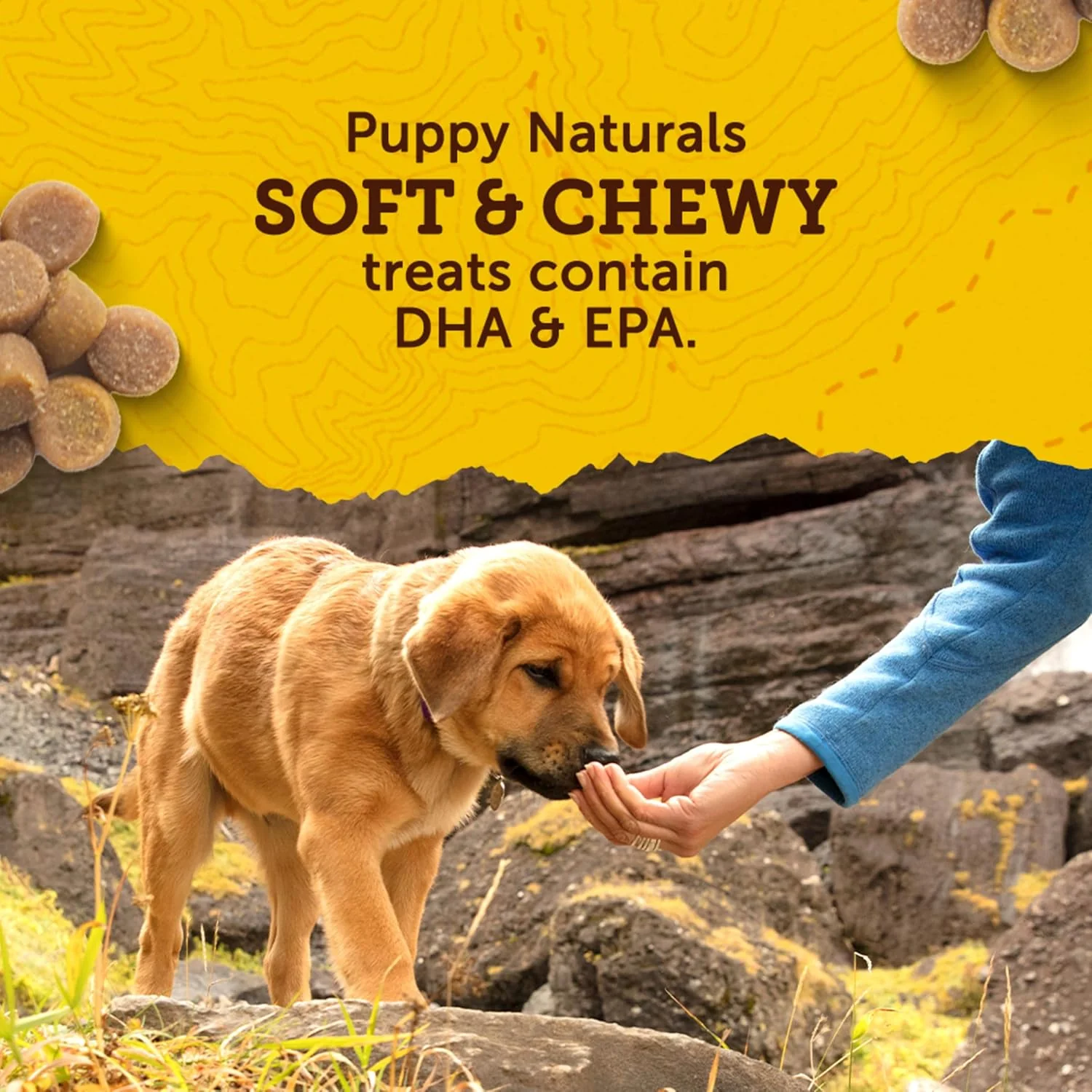 Zuke's Puppy Naturals Salmon Recipe Puppy Dog Treats, 5-oz pouch - Image 6